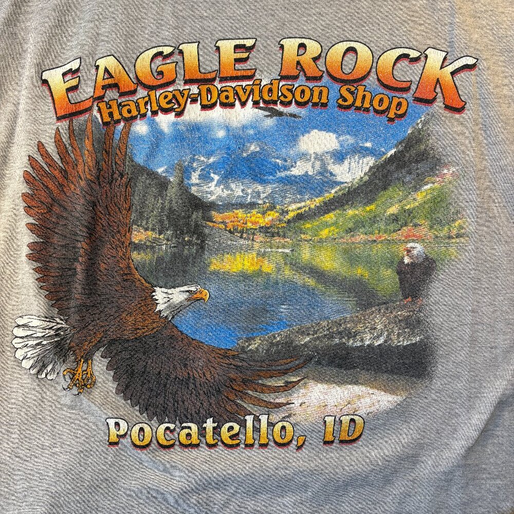 Vintage Harley-Davidson-Pocatello, ID (L)